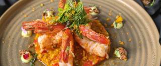 Shrimps