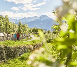 Apfelwanderung in Südtirol
