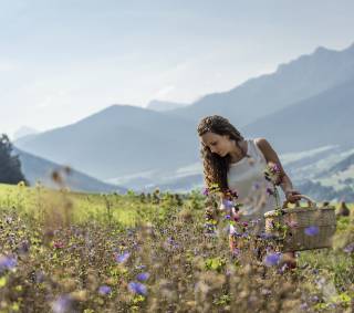 Blumenwiese in Südtirol