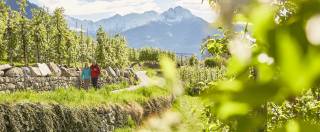 Apfelwanderung in Südtirol
