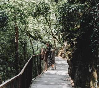 Gaulschlucht Lana